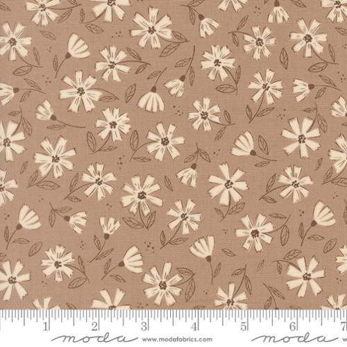 PRE-ORDER - NATURE'S SKETCHBOOK - Pebble