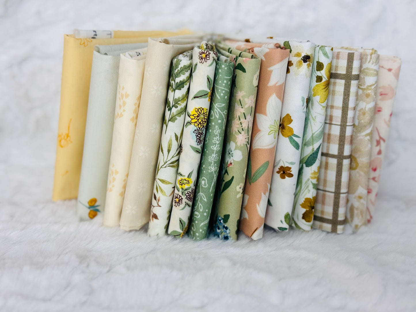 CLASSIC LITERATURE - 14 piece FQ bundle