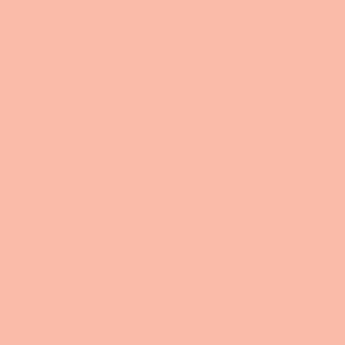 PRE-ORDER - PURE SOLIDS - Popsicle