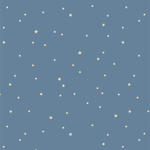 COYOTE HILL - Starry Whispers Mist