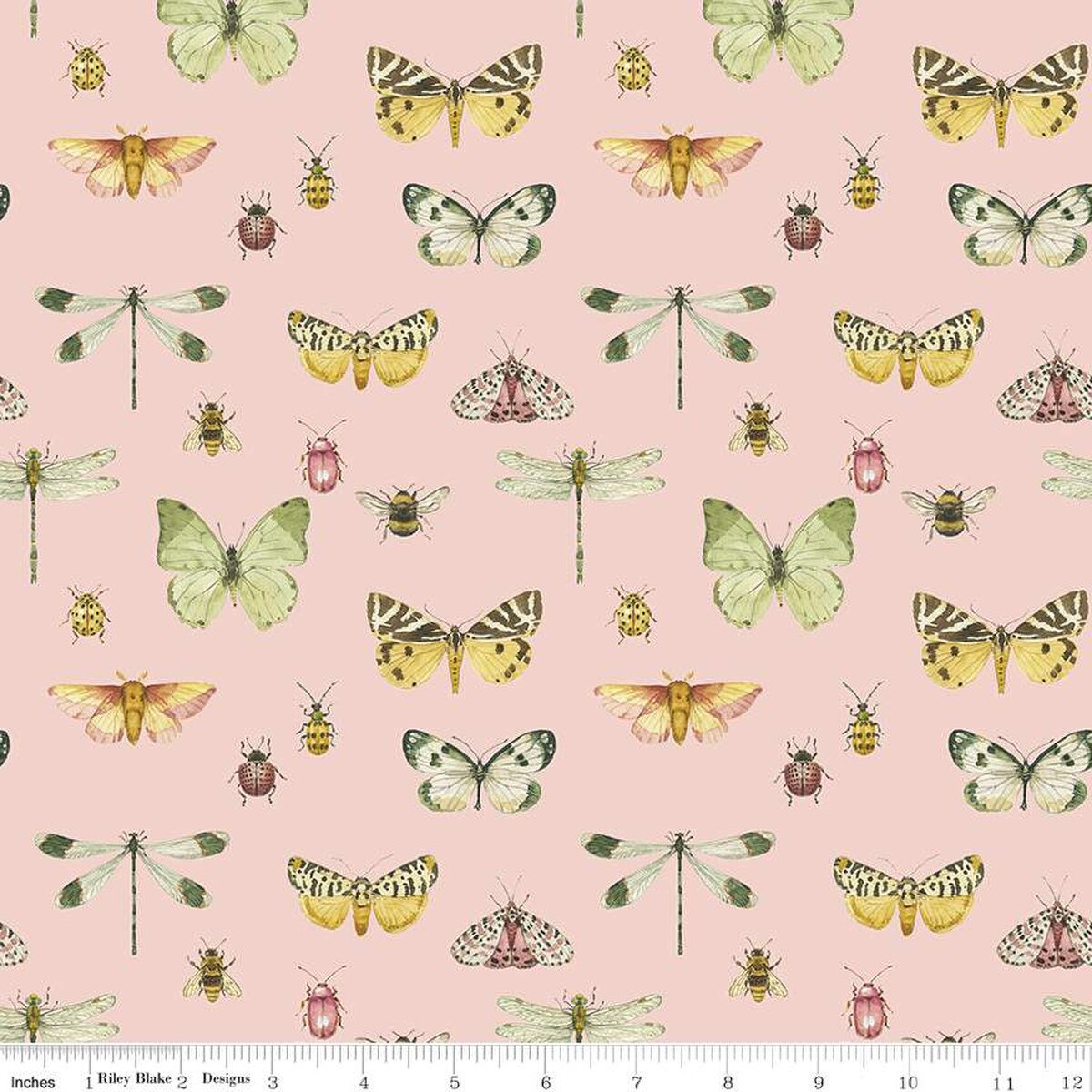 LOVE ME MORE - Flutter Blush