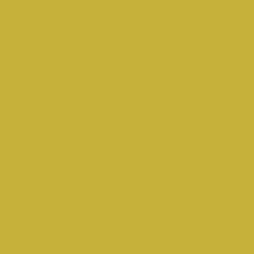 PRE-ORDER - PURE SOLIDS - Olive Oil