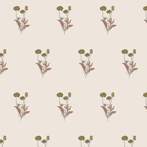 PRE-ORDER - SPRUCE - Rising Calendula